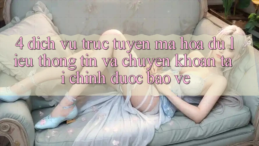 4. Dịch vụ trực tuyến mã hóa dữ liệu thông tin và chuyển khoản tài chính được bảo vệ
