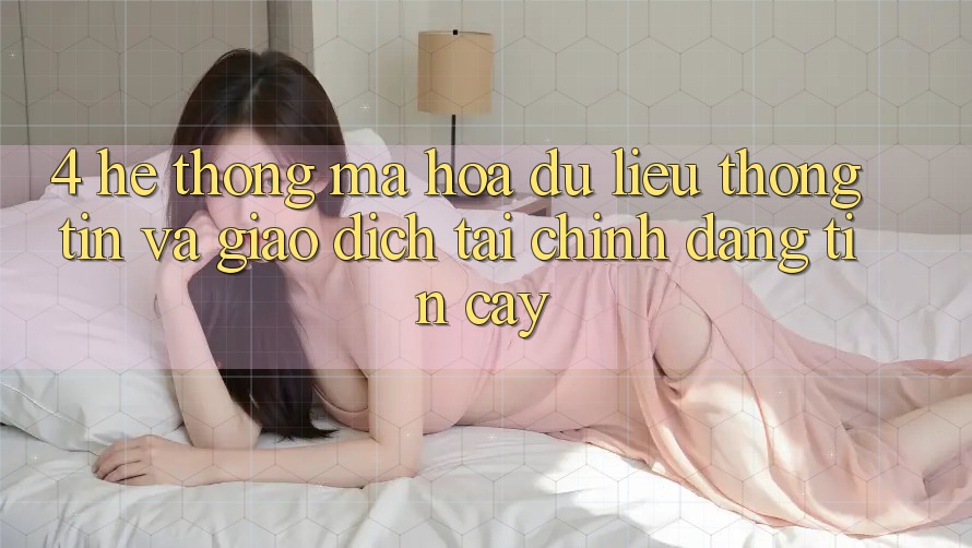 4. Hệ thống mã hóa dữ liệu thông tin và giao dịch tài chính đáng tin cậy 4. Hệ thống mã hóa dữ liệu thông tin và giao dịch tài chính đáng tin cậy