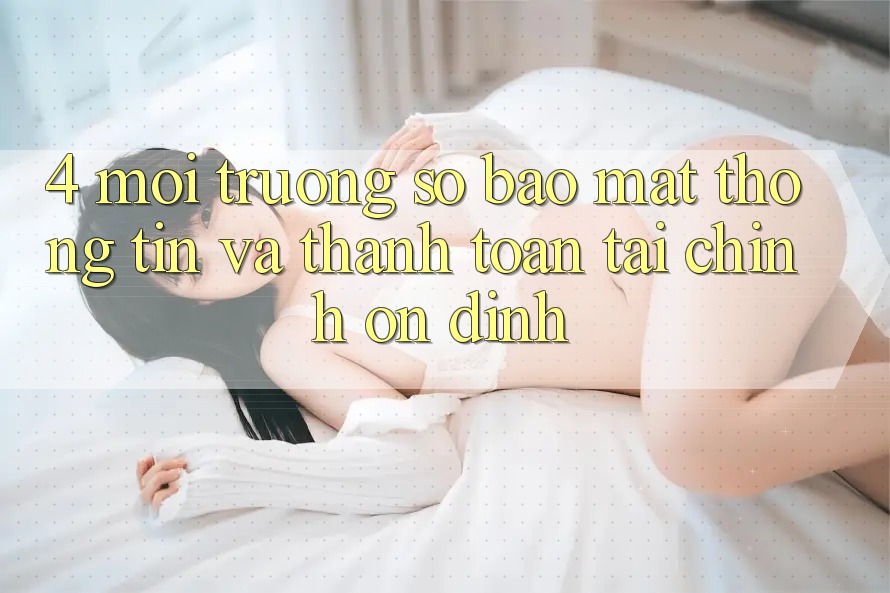 4. Môi trường số bảo mật thông tin và thanh toán tài chính ổn định