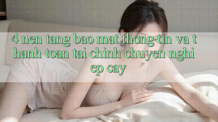 4. Nền tảng bảo mật thông tin và thanh toán tài chính chuyên nghiệp cậy