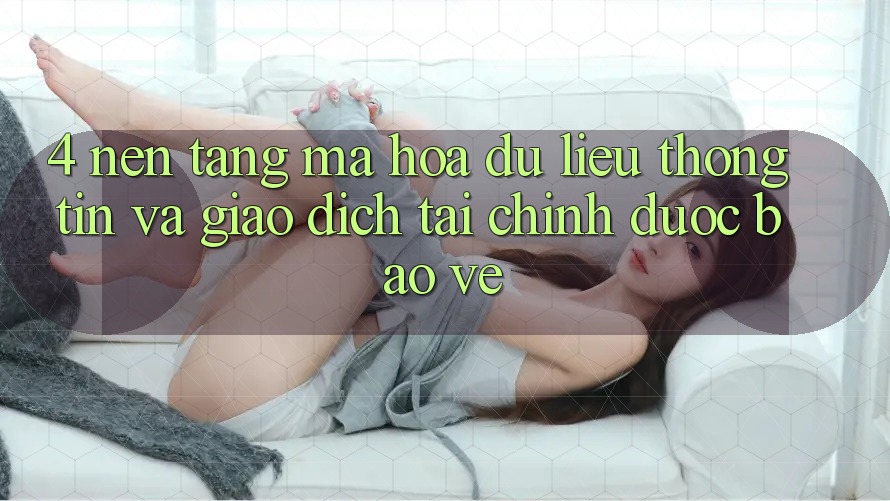 4. Nền tảng mã hóa dữ liệu thông tin và giao dịch tài chính được bảo vệ