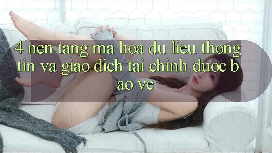 4. Nền tảng mã hóa dữ liệu thông tin và giao dịch tài chính được bảo vệ