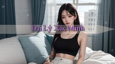 Đại lý Xác minh
