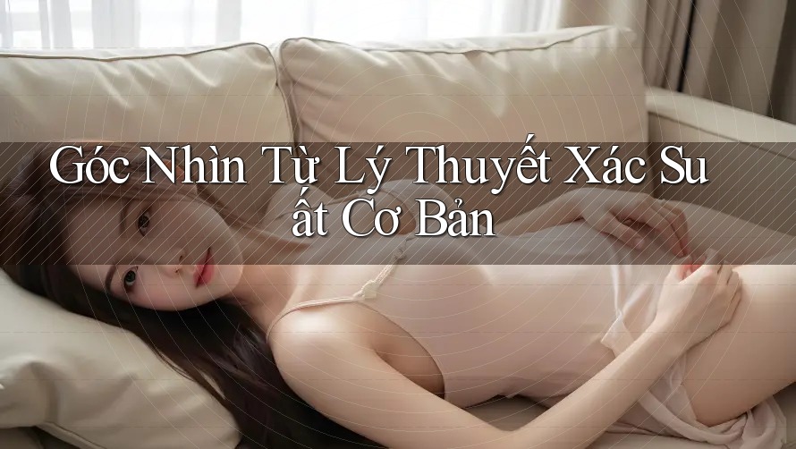 Góc Nhìn Từ Lý Thuyết Xác Suất Cơ Bản